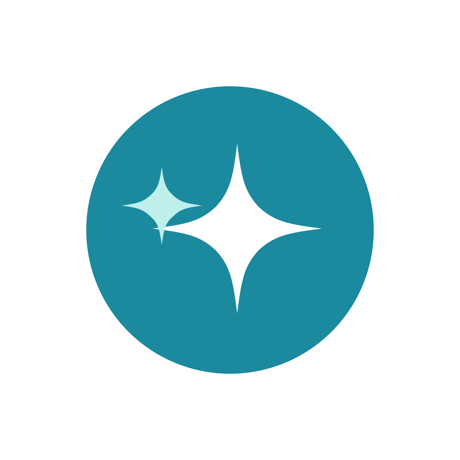 Sparkle & Shine Logo